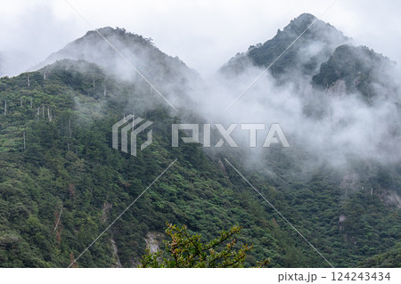 神が宿る山 まるで水墨画 世界自然遺産屋久島(秋 神が宿る山 まるで水墨画 世界自然遺産屋久島(秋 124243434