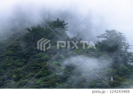 神が宿る山　まるで水墨画　世界自然遺産屋久島(秋 124243469