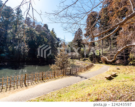 冬晴れの下、静かでゆったりとした佐倉城址公園の姥が池の佇まい 124243597