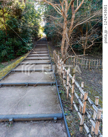 冬晴れの下、静かでゆったりとした佐倉城址公園の姥が池に続く坂道 124243601