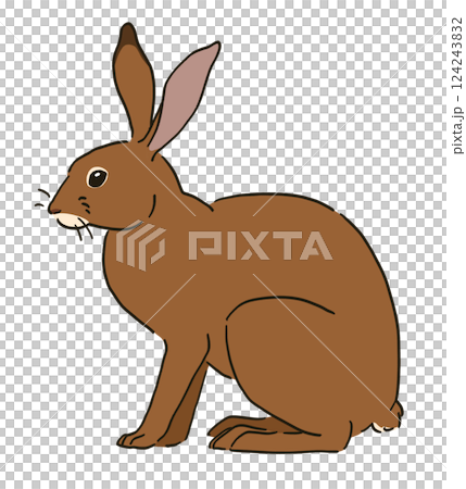 Illustration of a sitting Japanese hare 124243832
