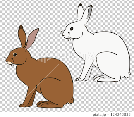 Illustration of a sitting Japanese hare 124243833