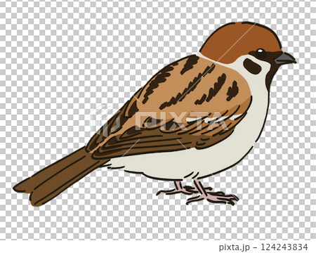 麻雀剪貼畫 124243834