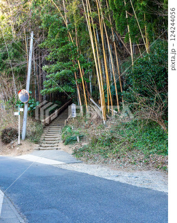 江戸時代から変わらない竹林に囲まれたサムライの古径　ヒヨドリ坂の厳かな景色 124244056