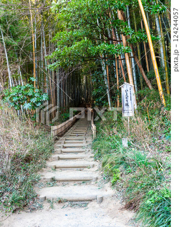 江戸時代から変わらない竹林に囲まれたサムライの古径　ヒヨドリ坂の厳かな景色 124244057