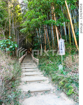 江戸時代から変わらない竹林に囲まれたサムライの古径　ヒヨドリ坂の厳かな景色 124244058