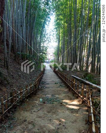 江戸時代から変わらない竹林に囲まれたサムライの古径 ヒヨドリ坂の厳かな景色 江戸時代から変わらない竹林に囲まれたサムライの古径 ヒヨドリ坂の厳かな景色 124244066