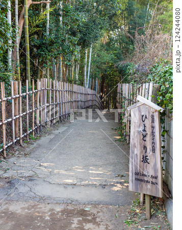 江戸時代から変わらない竹林に囲まれたサムライの古径　ヒヨドリ坂の厳かな景色 124244080