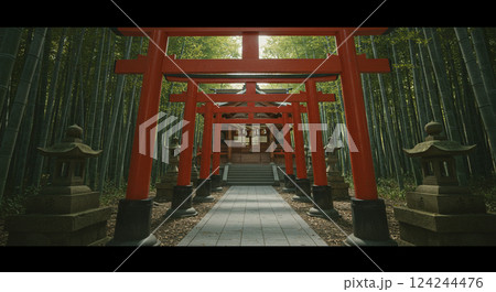 森の参道に現れる神秘的な赤い鳥居 124244476