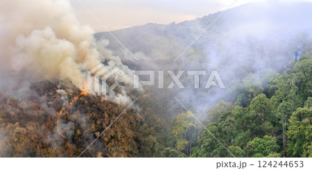 Wildfires release carbon dioxide (CO2) emissions and other greenhouse gases (GHG) that contribute to climate change. Wildfires release carbon dioxide (CO2) emissions and other greenhouse gases (GHG) that contribute to climate change. 124244653