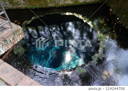 静岡県駿東郡清水町の柿田川公園の第二展望台の風景 静岡県駿東郡清水町の柿田川公園の第二展望台の風景 124244708
