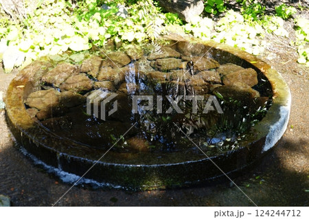 静岡県駿東郡清水町の柿田川公園の風景 124244712