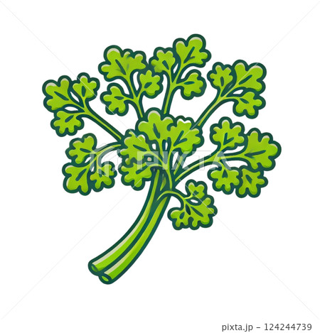 シンプルなパセリのイラスト、背景なし、素材、アイコン、調味料 124244739