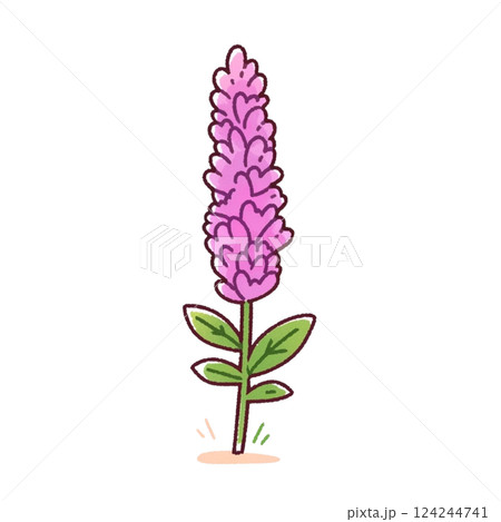 シンプルなラベンダーのイラスト、アイコン、素材、背景なし シンプルなラベンダーのイラスト、アイコン、素材、背景なし 124244741