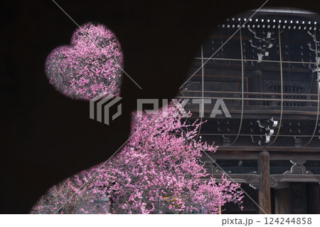 興正寺　ハート型越しの満開の梅 124244858