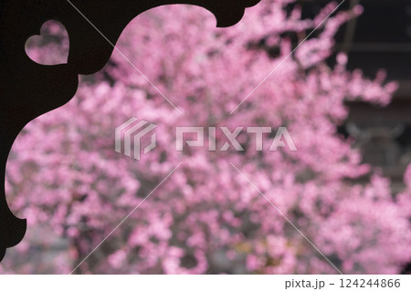 京都　興正寺　ハート型越しの満開の梅 124244866