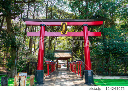 東京都杉並区 大宮八幡宮 北参道鳥居 源頼義により建設 東京都杉並区 大宮八幡宮 北参道鳥居 源頼義により建設 124245073