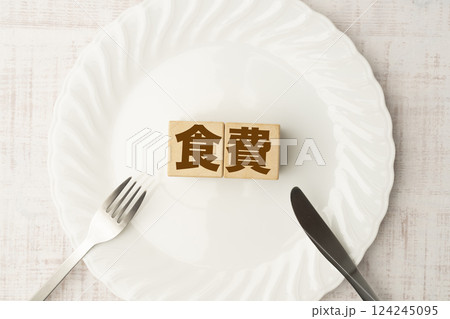 食費 124245095