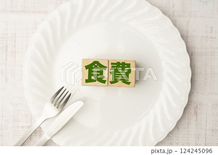 食費 124245096