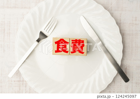 食費 124245097