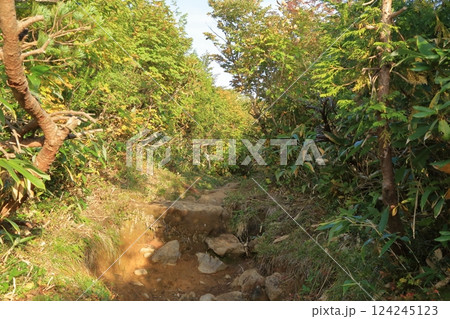 秋の紅葉の栗駒山 ( 東栗駒コース / いわかがみ平 から 東栗駒山 ) 124245123