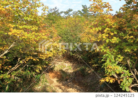 秋の紅葉の栗駒山 ( 東栗駒コース / いわかがみ平 から 東栗駒山 ) 124245125