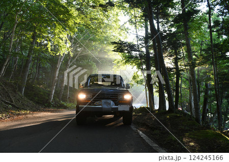 北海道　霧の中を走る車 124245166