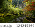 紅葉と竹林、川沿いの静かな風景 124245369
