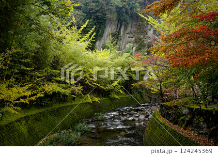 紅葉と竹林、川沿いの静かな風景 124245369