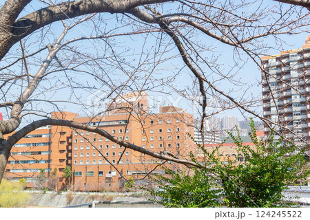 宝来橋 124245522