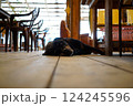 カフェの床に寝そべる黒い犬の安らぎ 124245596