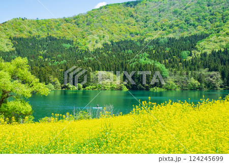 春の北竜湖 春の北竜湖 124245699