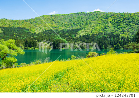 春の北竜湖 春の北竜湖 124245701