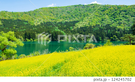 春の北竜湖 124245702