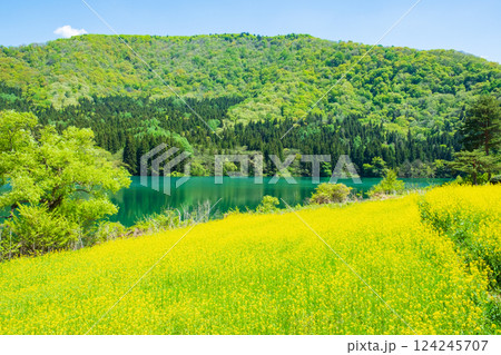 春の北竜湖 春の北竜湖 124245707
