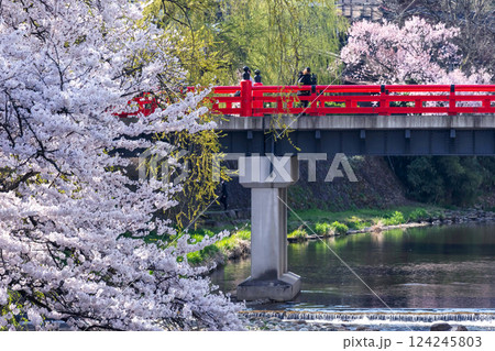 210409中橋桜g022 210409中橋桜g022 124245803
