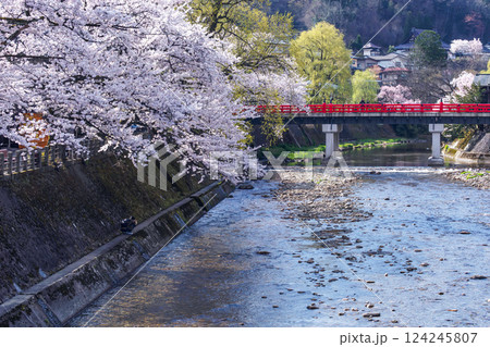 210409中橋桜g038 124245807