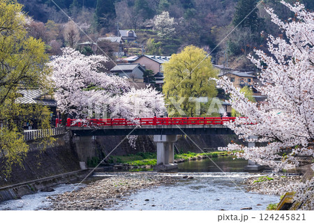 210409中橋桜g093 210409中橋桜g093 124245821
