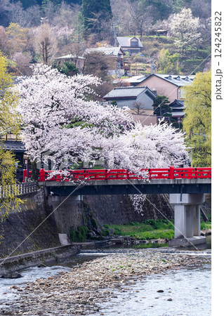 210409中橋桜g094 210409中橋桜g094 124245822
