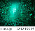 サイバー空間のイメージ緑 124245946