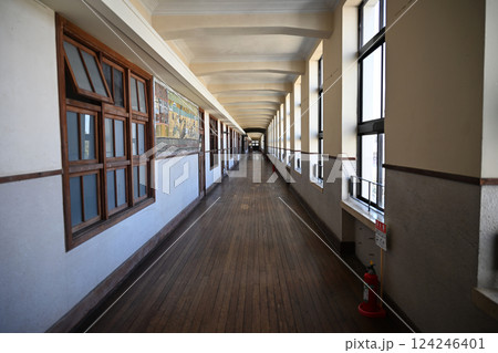 豊郷小学校旧校舎群 豊郷小学校旧校舎群 124246401
