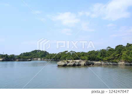宮城県・利府町・馬の背から眺める子馬 宮城県・利府町・馬の背から眺める子馬 124247047