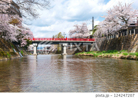 210409中橋桜Z385 124247207