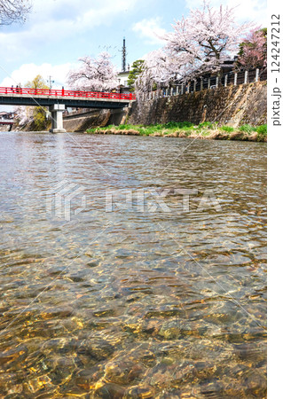 210409中橋桜Z415 210409中橋桜Z415 124247212