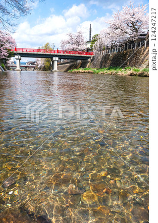 210409中橋桜z440 210409中橋桜z440 124247217