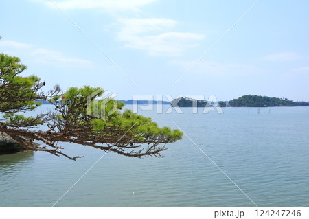 宮城県・利府町・馬の背から眺める松島の景色 124247246