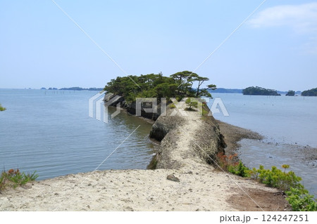 宮城県・利府町・馬の背 124247251