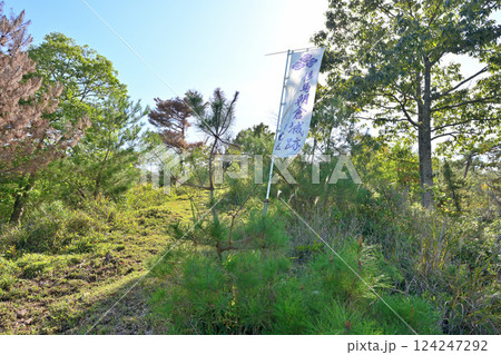兵庫県養父市八鹿町 但馬朝倉城 朝倉氏の発祥の地 兵庫県養父市八鹿町 但馬朝倉城 朝倉氏の発祥の地 124247292