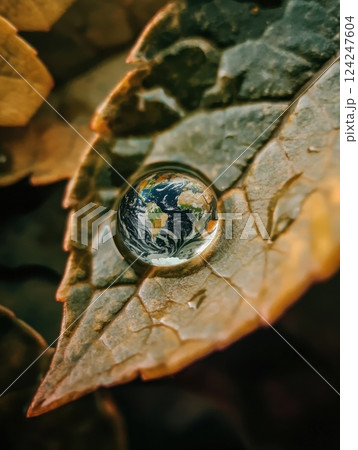 Water Drop on Leaf Reflecting Earth in Nature Macro Photography Water Drop on Leaf Reflecting Earth in Nature Macro Photography 124247604