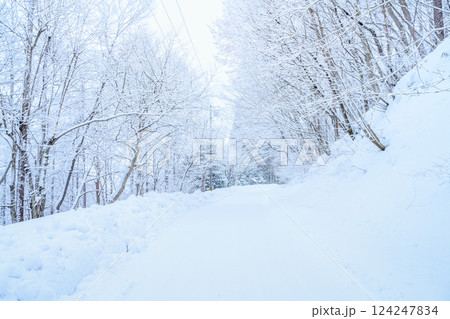 【長野県】聖高原　冬 124247834
